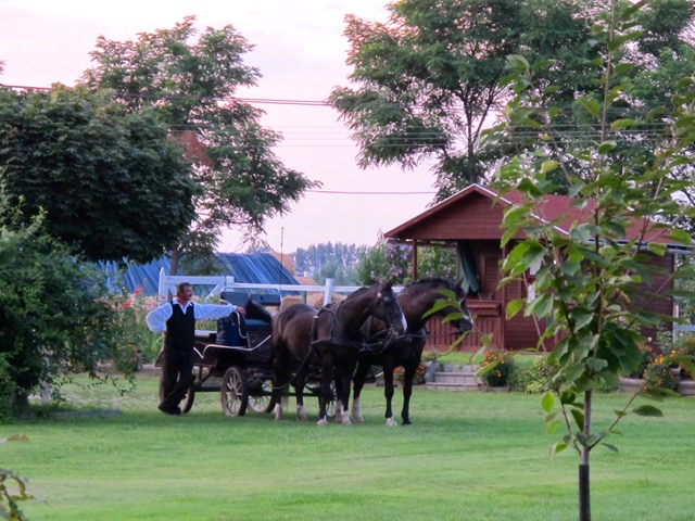 2010_Paplapos__0735 (1) 